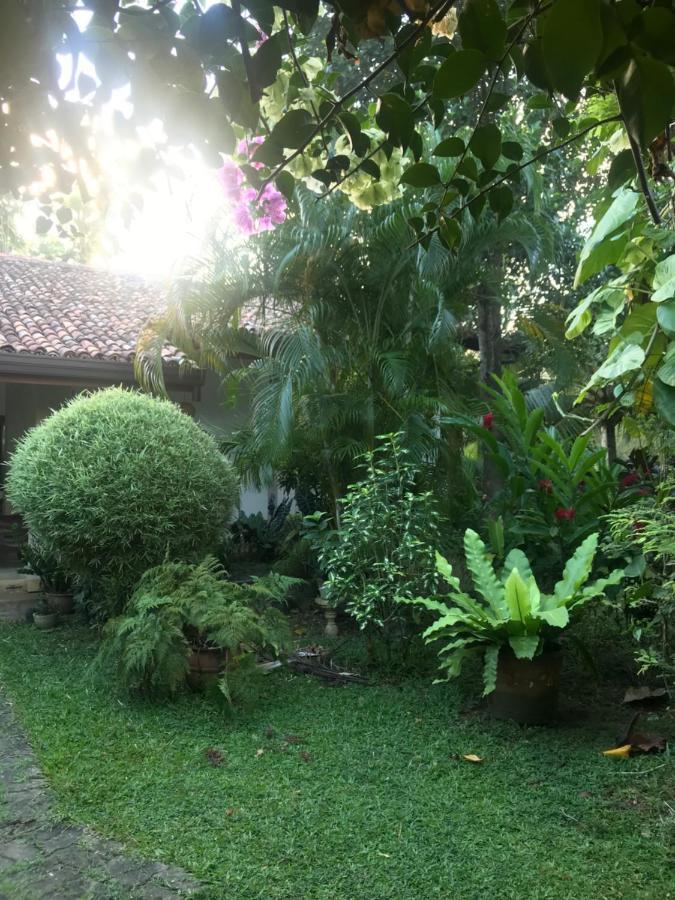 Tangalle Green House エクステリア 写真
