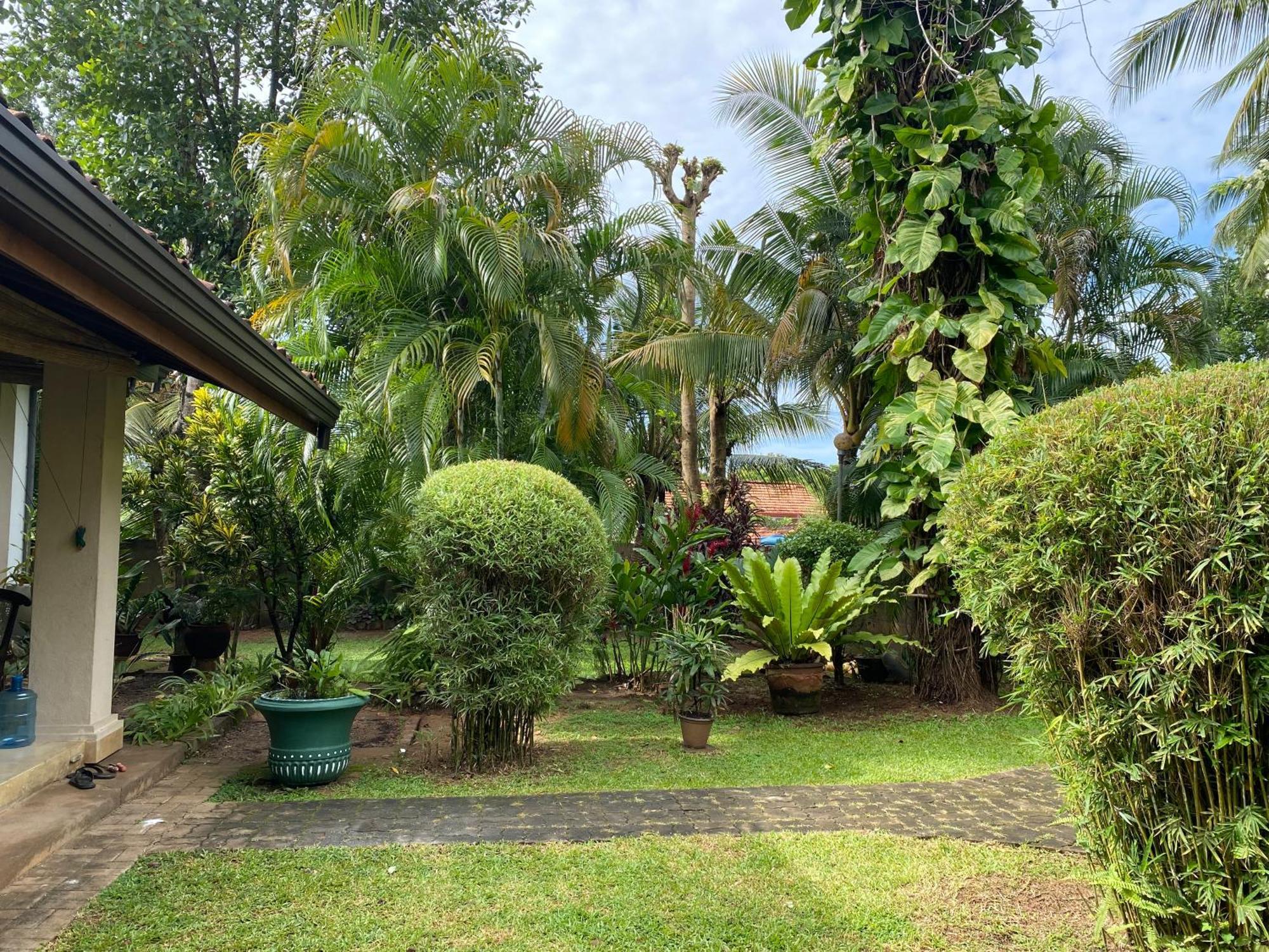 Tangalle Green House エクステリア 写真