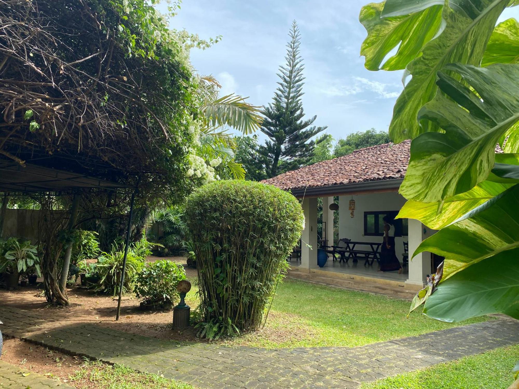 Tangalle Green House エクステリア 写真