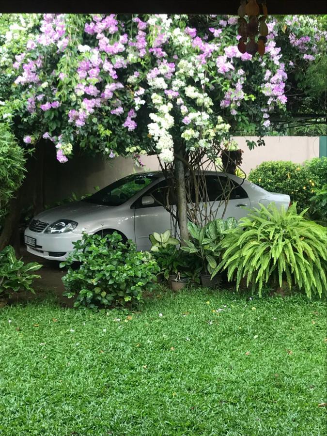 Tangalle Green House エクステリア 写真